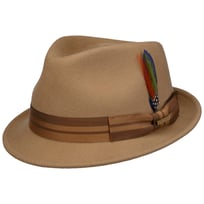 Etowah Wolltrilby by Stetson | 119,00 �