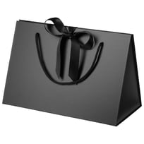 Geschenkbox BoxBag | 9,95 �