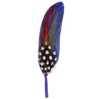 Hutfeder zum Anstecken by Stetson | 1,99 �