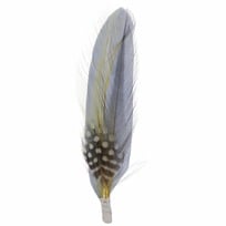Hutfeder zum Anstecken by Stetson | 1,99 �
