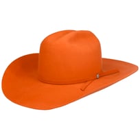 Payson 2X Western Wollhut by Bailey 1922 | 239,00 �
