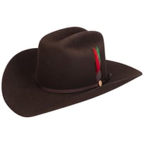 Rancher 160th Edition 6X Cowboyhut by Stetson | 600,00 �
