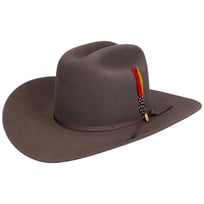 Rancher 160th Edition 6X Cowboyhut by Stetson | 600,00 �